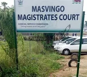 *Czech tourist arrested over video on Zim power outages freed on bail*