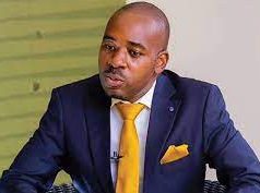 Some in politics for survival: Chamisa Chamisa said it had not been easy to stand for right, truth and the authentic alternative, saying struggles were never easy and far from being a walk in the park.