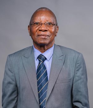 ZESA Board Chair Mr Albert Joel Nduna ZESA Board Chair Mr Albert Joel Nduna